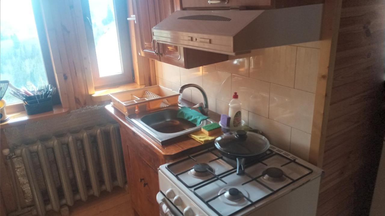 Біля Лісу Lejlighed Slavske Eksteriør billede
